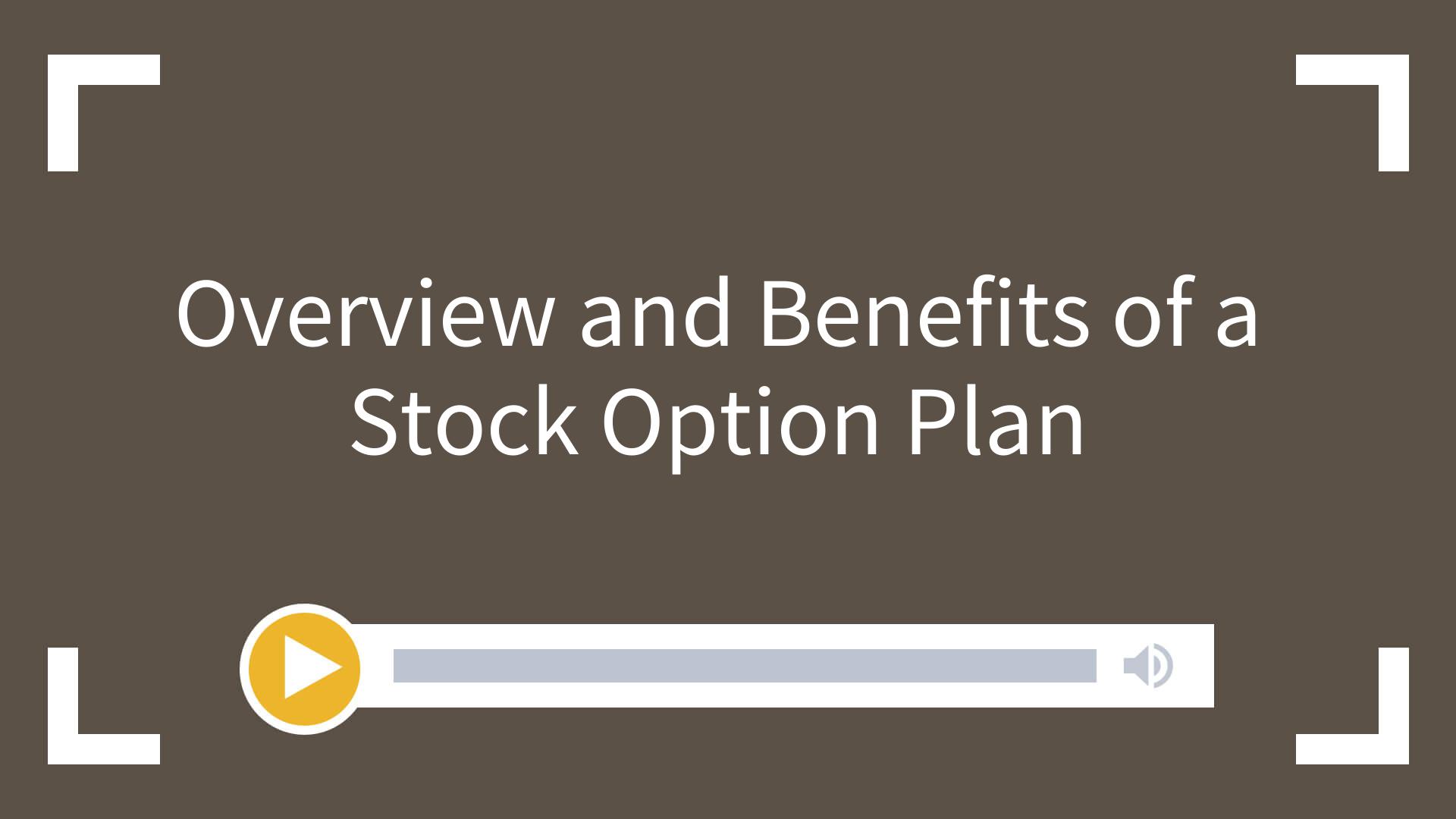 Overview and Benefits of a Stock Option Plan Larson Gross