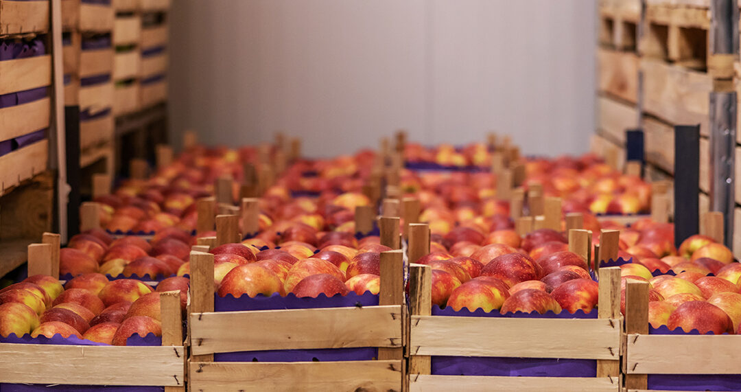 Washington’s Expanding Sales Tax Rules: What Agribusinesses Need to Know