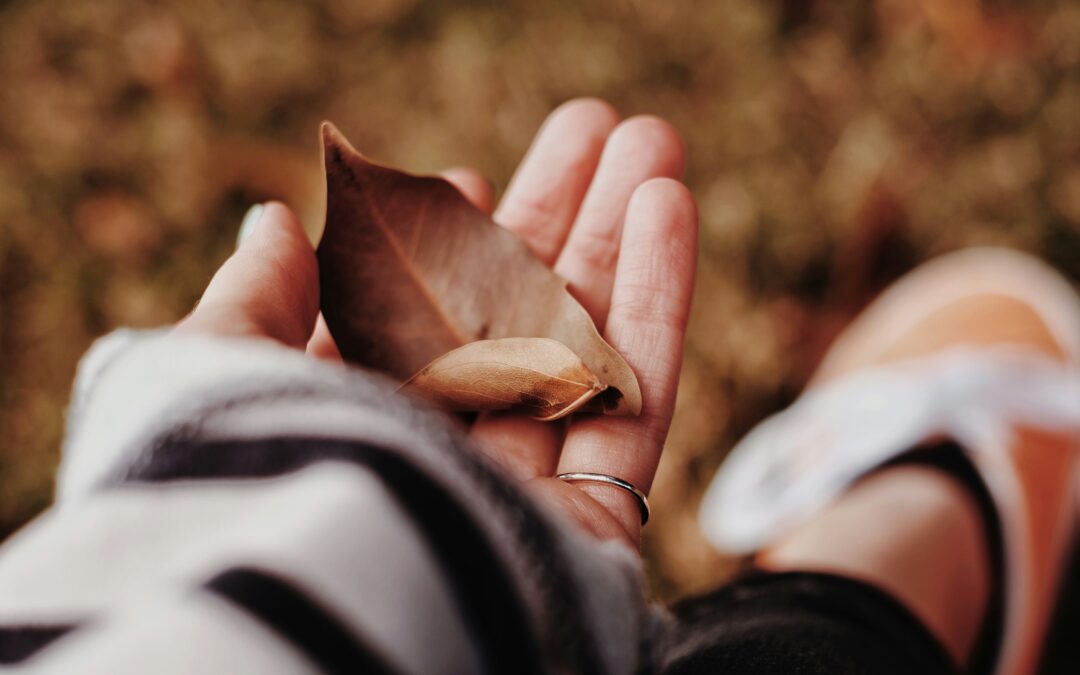Charitable giving gets a tax makeover: What you need to know for 2026 and beyond