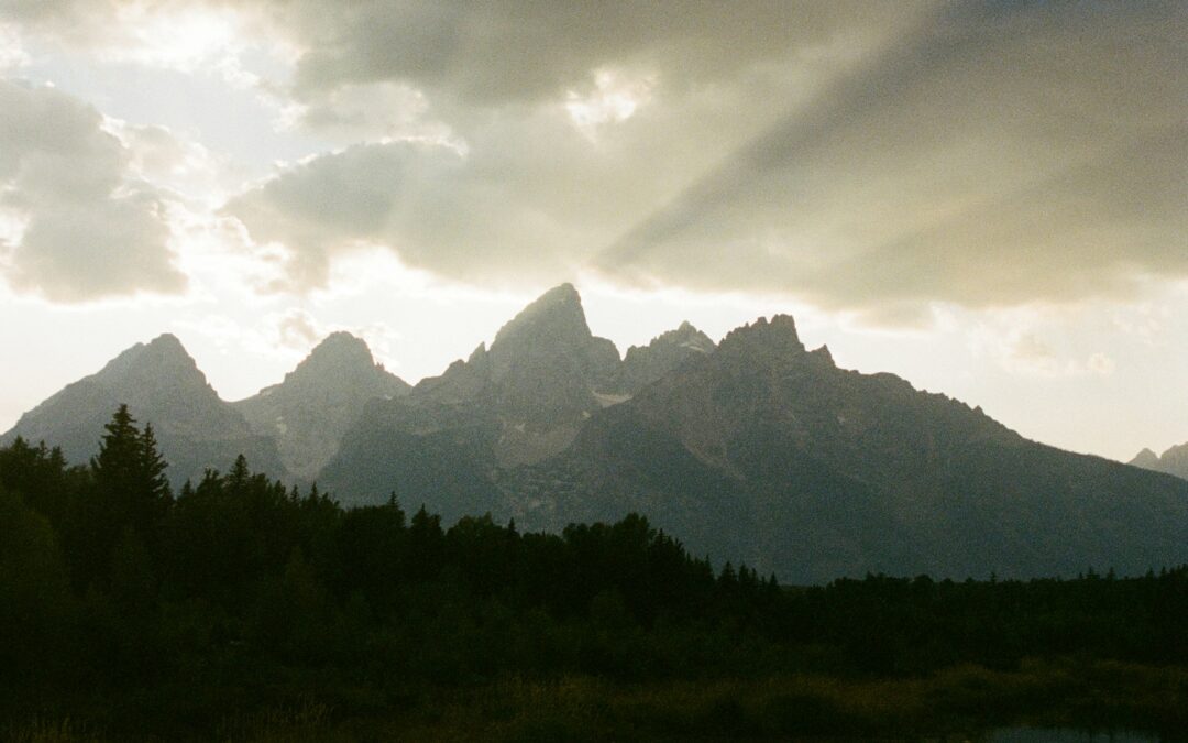 2025 End-of-Year Tax Update from Aprio