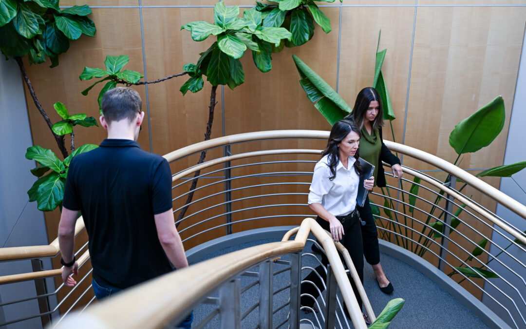 From Bookkeeping to Business Insight